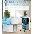 FRESHDEW Dehumidifier, 30 Pints Dehumidifiers for Home, 1500 Sq. Ft Dehumidifiers with Drain Hose, 0.52 Gallon Water Tank for Basement Bathroom Bedroom, 24H Timer