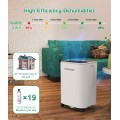 12L/Day Dehumidifier, FRESHDEW Dehumidifiers with Drain Hose, 2.3L Water Tank, Dehumidifier for Home Basement, Laundry Drying, Overflow Protection, 24H Timer, Continuous Drainage