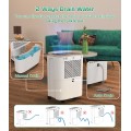 12L/Day Dehumidifier, FRESHDEW Dehumidifiers with Drain Hose, 2.3L Water Tank, Dehumidifier for Home Basement, Laundry Drying, Overflow Protection, 24H Timer, Continuous Drainage